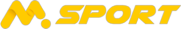 ngmsportlogin.ng Logo